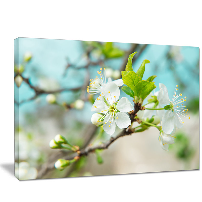 Beautiful Cherry Blossom n Spring - Reproduction de photo sur toile tendue, H 20 po x l 20 po x P 1 po