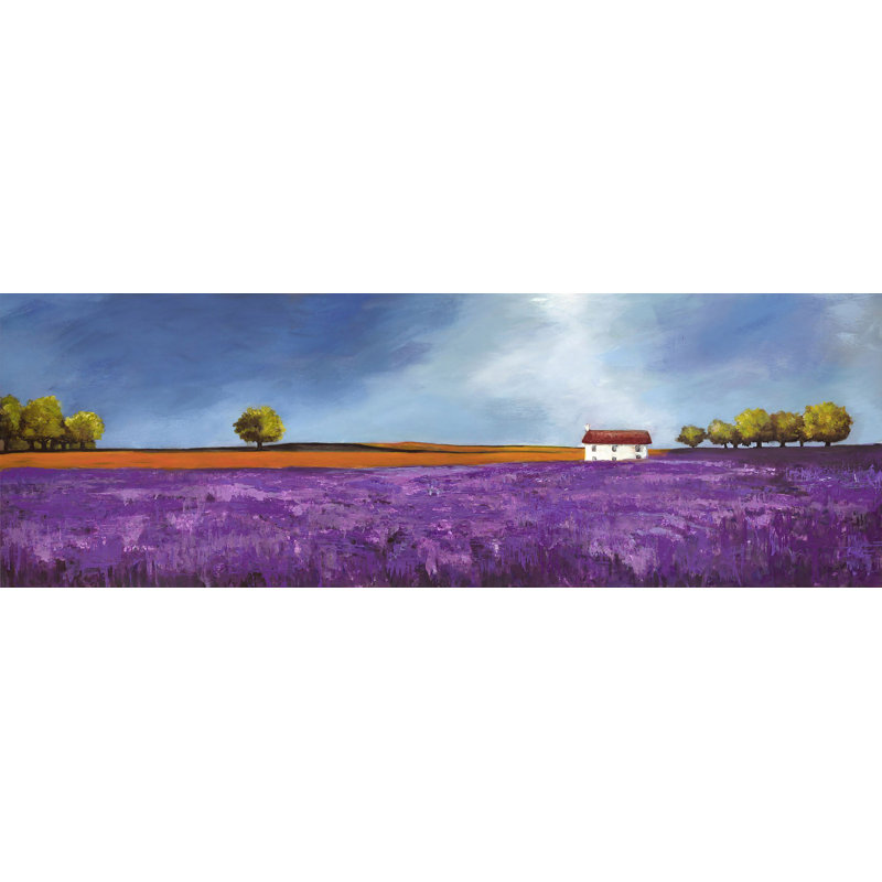 Field Of Lavender by Philip Bloom - Wrapped Canvas Painting, 35cm H x 100cm W x 4cm D