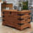 Nebo Wooden Coffee Table Trunk