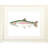 " Rainbow Trout " by Ed Capeau-26063997-26064001-26064004