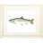 " Rainbow Trout " by Ed Capeau-26063997-26064004-26064001