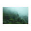 No Frame Print on Canvas-979470723