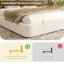 Bed-2037865650