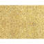 Hand Knotted Wool Area Rug in Gold And Ivory