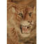 Silk Animal Print Area Rug