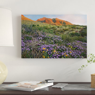 " Vervain At Franklin Mountains State Park, Chihuahuan Desert, Texas " by Tim Fitzharris