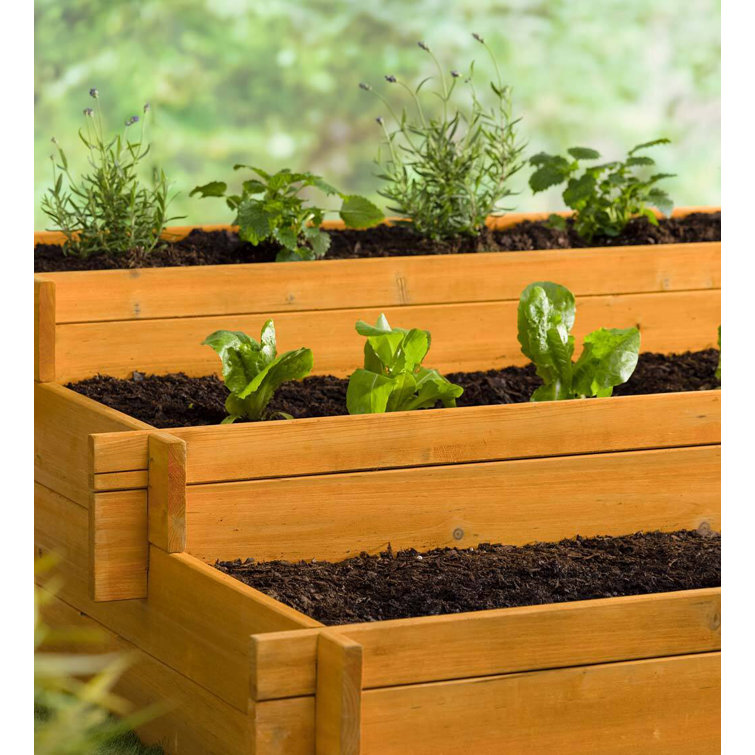 Plow & Hearth Wood Outdoor Raised Garden Bed | Wayfair