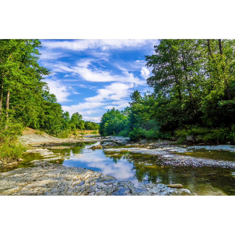 Engelhard Engelhard Forest River Landscape by Tatomm - Wrapped Canvas Print, 30cm H x 46cm W x 3.8cm D