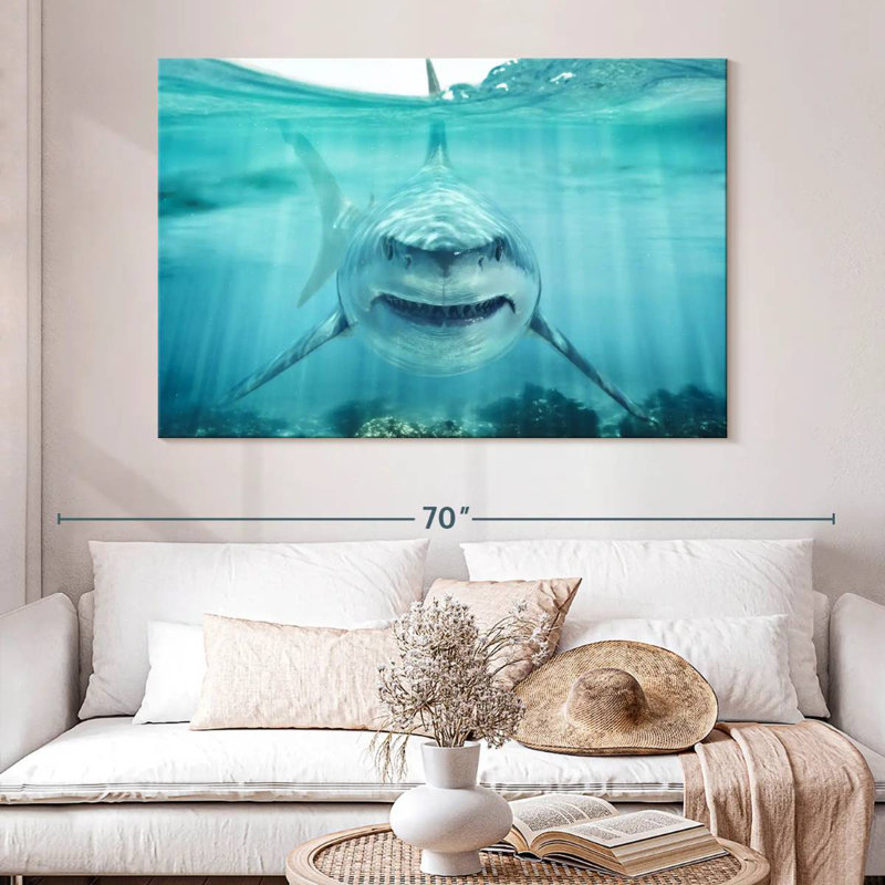 Brampt Predatory White Shark, 34" H x 51" W