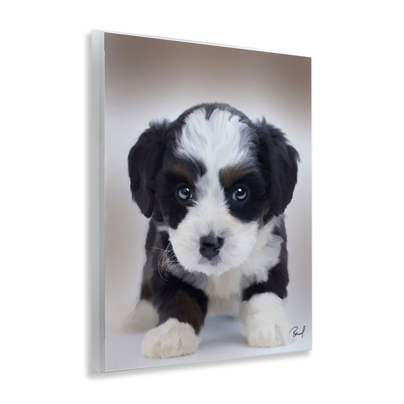 "Fluffy Bernedoodle Puppy", art par Renel Peters