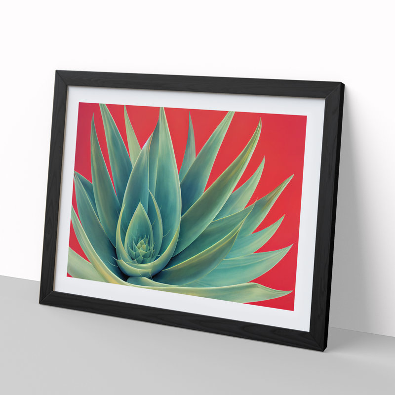 Spellbinding Aloe Vera Plant - Single Picture Frame Print, Black Frame, 46cm H x 64cm W