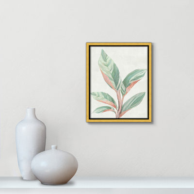Gingembre II - reproduction d'art