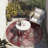 Wellsboro Area Rug-898837553