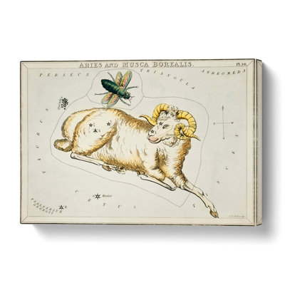 Astronomical Zodiac Chart Of The Aries - Wrapped Canvas Print