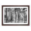 Montana Forest - Picture Frame Photograph Print-56860643-56860642