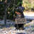 Dog Plastic Garden Statue