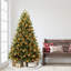 6.5' Lighted Artificial Spruce Christmas Tree