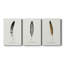 Found Feather I - ensemble de 3 peintures sur toile tendue-1042901665
