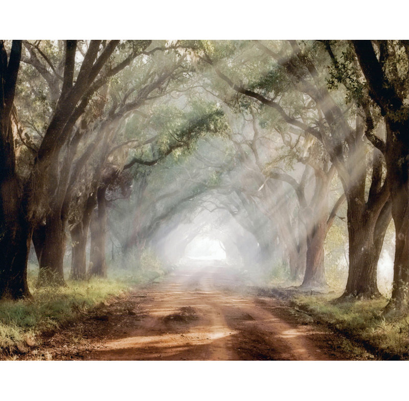 Evergreen Plantation, 28" H x 36" W