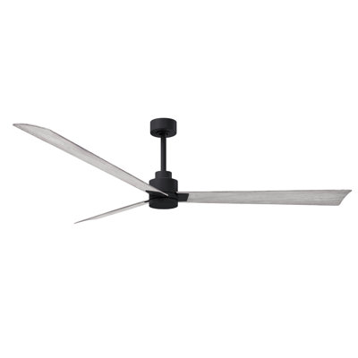 Alessandra Outdoor Downrod Ceiling Fan
