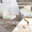Aunna 49 cm H Velvet Cantilever Chair-11042583-35588227