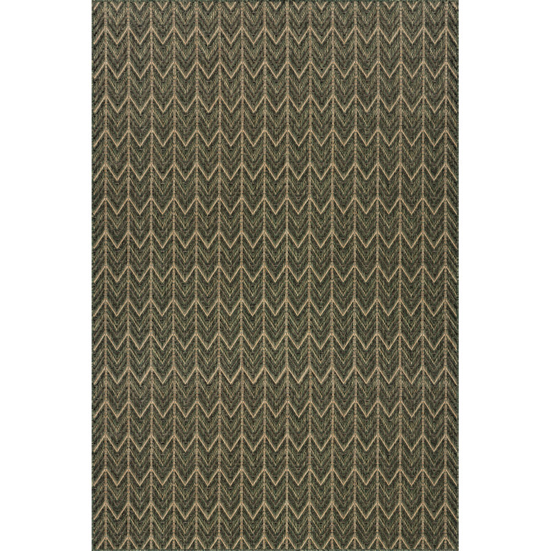  Tapis intérieur / extérieur Calissea, Rectangulaire 4 pi x 6 pi, Vert