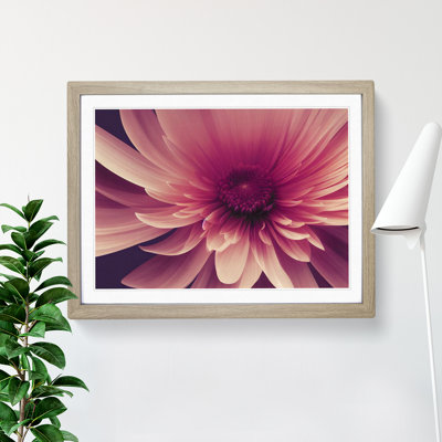 Cute Chrysanthemum Flower Vol.2 - Framed Print