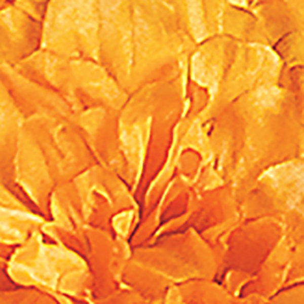 Zinnia Arrangement in Jar, Orange