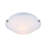 Bertenshaw Glass Flush Mount-21223609