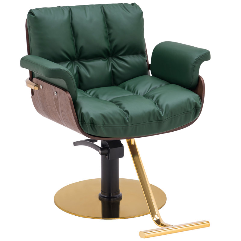  Stylized hairdresser chair, hydraulic hairdresser chair, Similicuir brun / vert