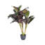 Plante Real Touch Floor Dracaena en pot