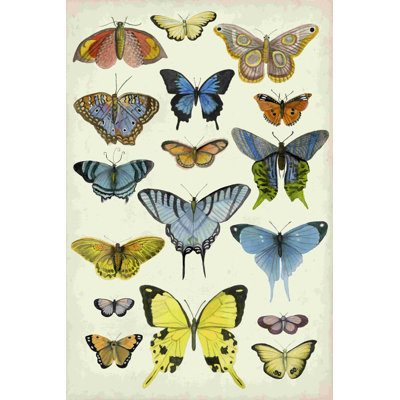 " Butterfly Taxonomy II " by Naomi McCavitt