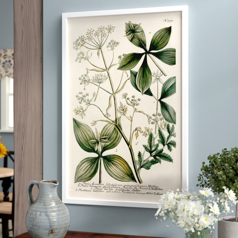Emerald Green Wall Art Decor - Botanical Herbs Framed Print