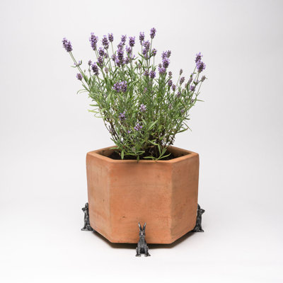Eleni Weather Resistant Planter Feet