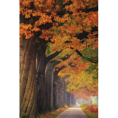 Autumn Path