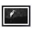 Stork Bird - Picture Frame Graphic Art Print-56706113-56706115