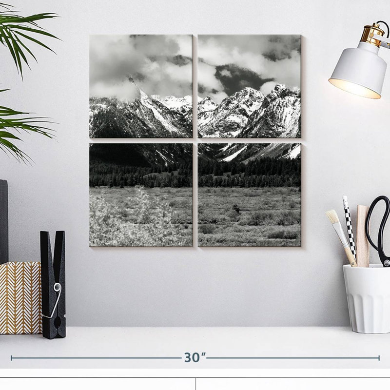 Alvord Snowy Teton Mountains BW, H 18 po x l 18 po