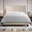 Structure de lit en tissu avec tête de lit ajustable Winston Porter-709296191-709296180