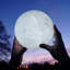 Jonell 3'' Astrology & Stars Themed LED Novelty Light