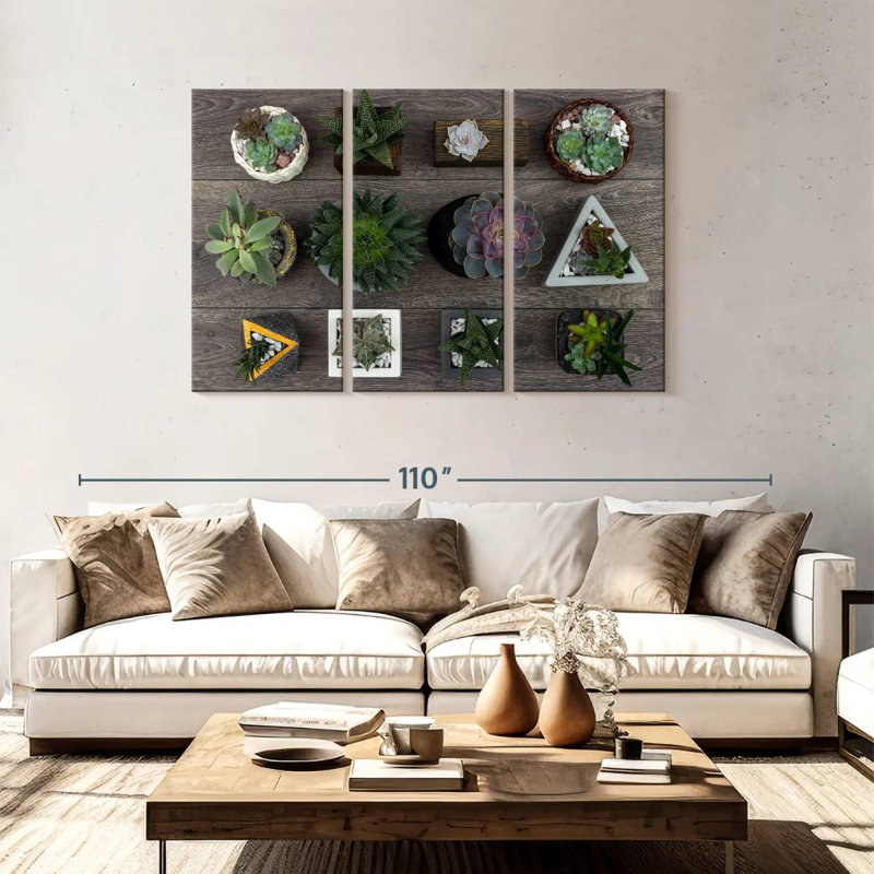 Harnek Assorted Succulents, 48" H x 74" W