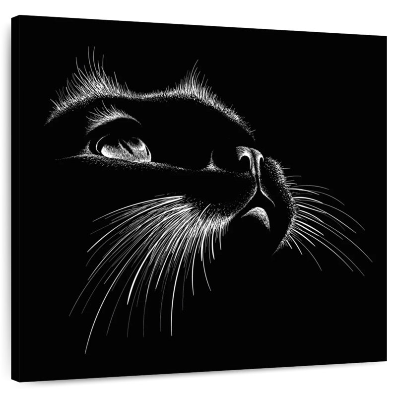 Black Cat Features, 10" H x 10" W