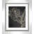 Silver Framed
