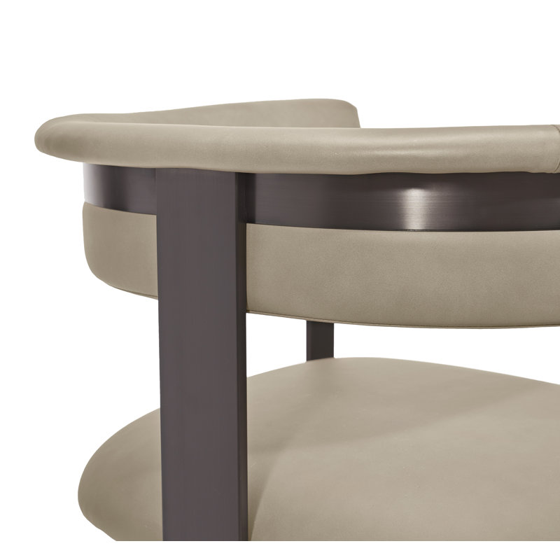 Darcy 19'' H Upholstered Armchair, Genuine Leather Graphite, Taupe
