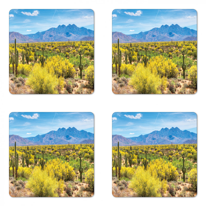 Square 4 Piece Coaster Set