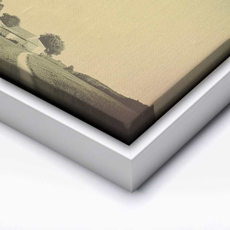 Enlèvement de vache UFO, Canvas, 18"H x 24"W, White Framed