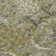Machine Washable Indoor/Outdoor Chayil ACN1082 Taupe Rug