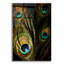 «Peacock Feathers 03» par Tom Quartermaine, art mural en verre acrylique-638923831