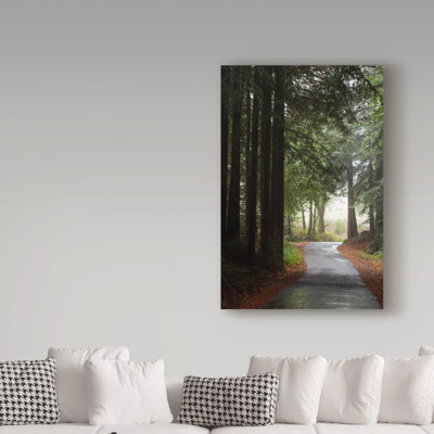 Breonna 'Forest Road' Photographic Print on Wrapped Canvas