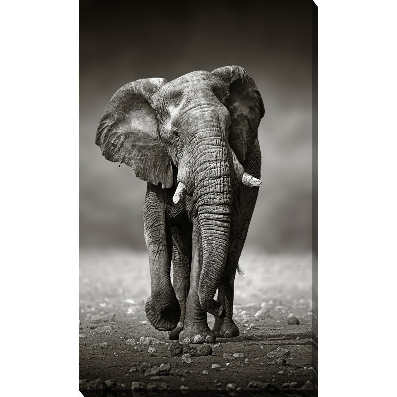 « protector », reproduction de photo sur toile enroulée, H 48 po x l 28 po x P 1,5 po