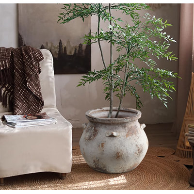 Wayfair x Theforagedabode
